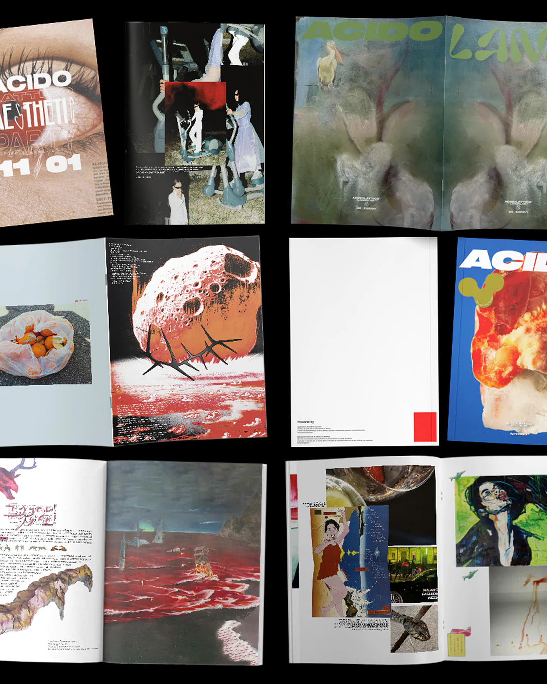 Rivista artistica ACIDO aperta su varie pagine, collage di fotografie e illustrazioni con stile sperimentale e surreale.