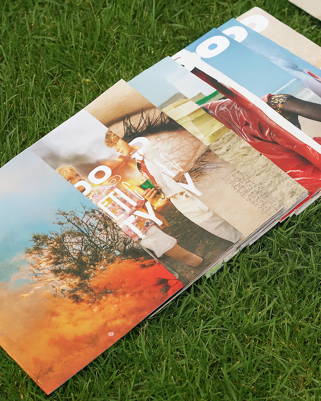 Copertine della rivista ACIDO disposte sull’erba, con fotografie colorate e grafiche vivaci.