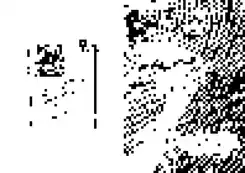 Prod 1, immagine default