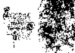 Prod 1, immagine default
