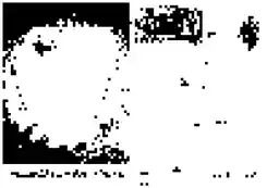 Prod 1, immagine default