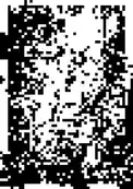 Prod 1, immagine default