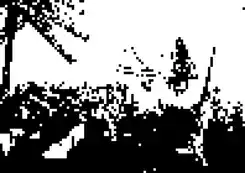 Prod 1, immagine default