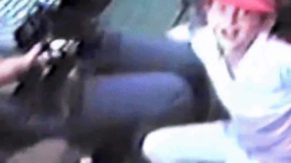 GIF animata che mostra dettagli e movimenti della cartolina 'A Venezia tutto è ok!'.