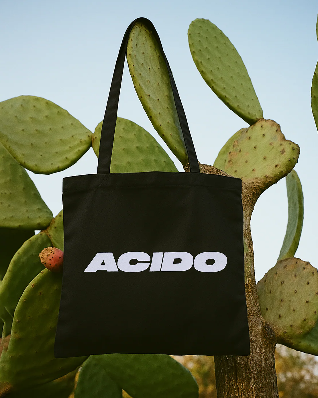 Totebag nera con scritta bianca ACIDO appesa a un cactus con fichi d’india.
